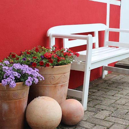 Ferienwohnung Zum Nordlicht Bassum Zewnętrze zdjęcie